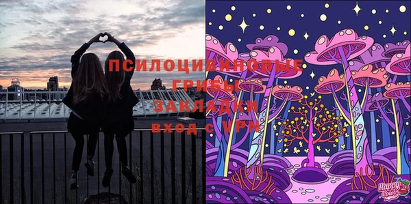 дурь Семёнов