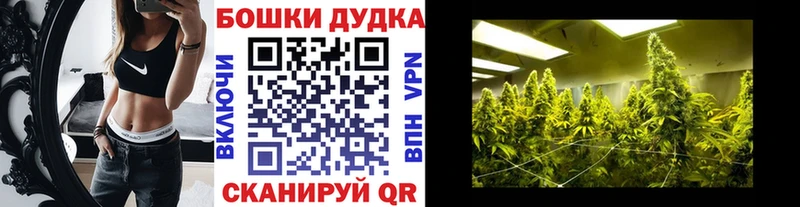 Купить  Железногорск  Канабис ГИДРОПОН 